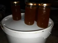 جميع انواع عسل حر
