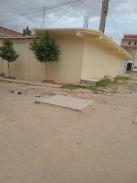 appartement-vente-f3-tebessa-bir-el-ater-algerie