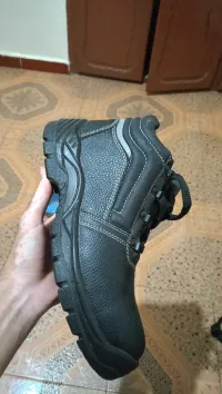 سكيكدة