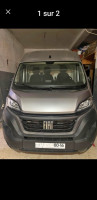 automobiles-fiat-ducato-2023-boumerdes-algerie