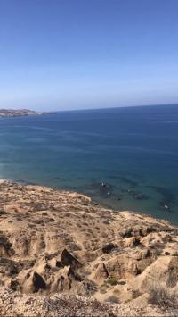 أرض-بيع-تلمسان-مسيردة-الفواقة-الجزائر