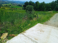 terrain-vente-boumerdes-chabet-el-ameur-algerie