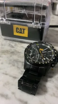 Cat original 