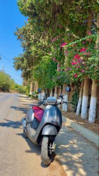 دراجات-نارية-وسكوترات-vms-benili-panarea-2024-chaba-السحاولة-الجزائر