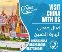 visa la chine