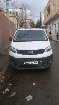 utilitaire-fiat-scudo-2023-khenchela-algerie