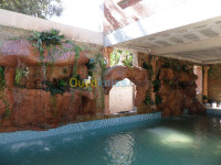 alger-el-mouradia-algerie-construction-travaux-cascade-et-piscine