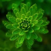 kinésithérapeute  à domicile 