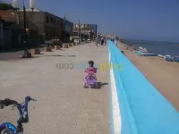 Vente Terrain Tipaza Bou ismail