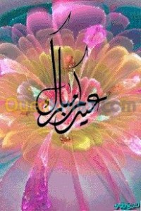 تيزي-وزو-عزازقة-الجزائر-بناء-و-أشغال-epoxy