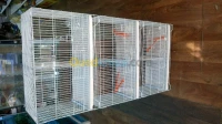 Les Cages accouplement
