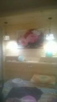 professionnel Décoration 