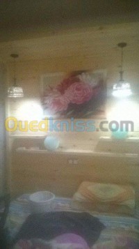 الجزائر-وسط-بناء-و-أشغال-professionnel-décoration