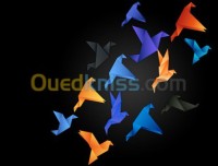 الجزائر-باب-الزوار-إشهار-و-اتصال-création-d-identité-visuelle