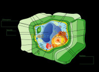 oran-algerie-ecoles-formations-cours-de-science-a-usto