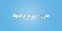 الجزائر-حسين-داي-مدارس-و-تكوين-science-pour-terminal