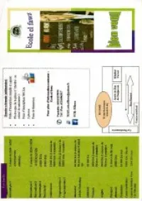 enseignement d informatique et langues