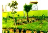   تهيئة المساحاتespace vert  