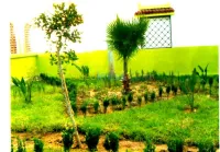   تهيئة المساحاتespace vert  