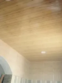 pvc . placo plat. font plafond....,