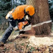 aménagement des espaces verts