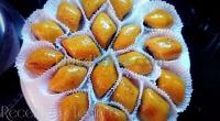 الجزائر-براقي-توريد-الطعام-و-حلويات-gateaux
