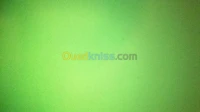 عامل على المكينة الجبس ذوي خبره عالية