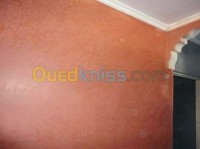 الجزائر-باب-الزوار-بناء-و-أشغال-peinture