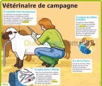  médecine préventive sante animale  