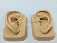 alger-bir-mourad-rais-algerie-medical-modèle-d-oreille-réaliste-en-silicone