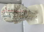 Tête avec points hauteur 22cm