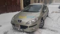 berline-peugeot-407-2004-ess-mecheria-naama-algerie