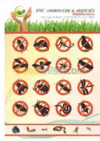 dératisation  rats souris 