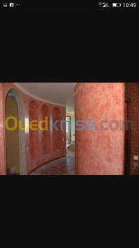 الجزائر-وسط-بناء-و-أشغال-peinture