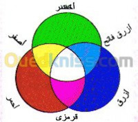 alger-bab-el-oued-algerie-ecoles-formations-enseignante-langue-arabe