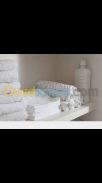 الجزائر-المدنية-حياكة-و-خياطة-lavage-séchage-repassage