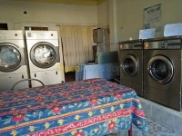 تيارت-الجزائر-تنظيف-و-بستنة-laverie-automatique