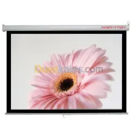 Ecran de projection manuel 1.6M*1.6M
