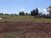 Vente Terrain Chlef Chlef