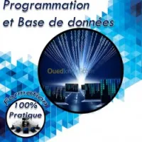 PROGRAMMATION ET BASES DE DONNEES