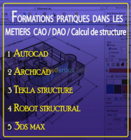 ecoles-formations-daocao3dcalcul-de-structure-sig-el-madania-alger-algerie