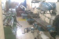 عين-تموشنت-العامرية-الجزائر-صناعة-و-تصنيع-fabrication