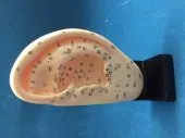 OREILLE SILICONE GRAND FORMAT