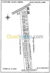 Vente Terrain Alger Birtouta