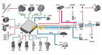 ecoles-formations-التكوين-scanner-auto-es-senia-oran-algerie