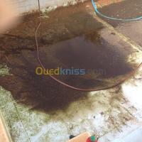 تنظيف-و-بستنة-nettoyage-de-piscine-درارية-الجزائر