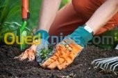 الجزائر-وسط-تنظيف-و-بستنة-jardinage
