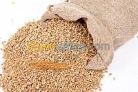 الجلفة-عين-وسارة-الجزائر-صناعة-و-تصنيع-importateur-aliment-volaille