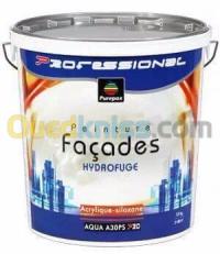 tipaza-hadjout-algerie-décoration-aménagement-peinture-ex