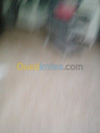 تلمسان-الجزائر-فندقة-و-إطعام-قاعات-x